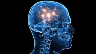Nova How Does The Brain Work? Documentary