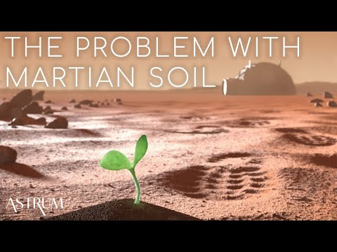 What are the problems with growing plants in space?