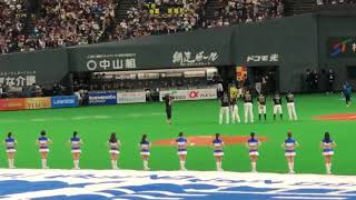 【2019日本ハム開幕戦】2019/3/29北海道日本ハムファイターズ開幕セレモニー 王 柏融  Po-Jung Wang