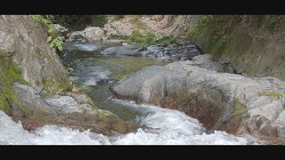 日々好日　（明日香－飛鳥川）