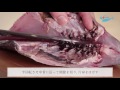 黒鯛（くろだい）のさばき方 how to filet black seabream ｜日本さばけるプロジェクト（海と日本プロジェクト）