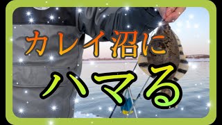 石狩川 旧渡船場でのカワガレイ釣り！！