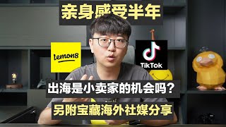 tiktok真实数据分享，出海是小卖家的机会吗？附宝藏海外社媒分享