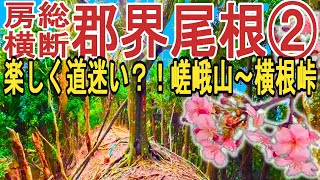 【千葉郡界尾根②：秘境】道標の一切ない藪山で道迷いを楽しむ