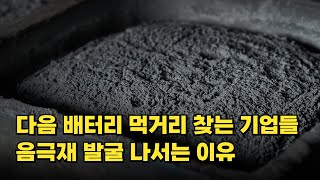 뒤늦게 배터리 소재에 뛰어든 기업들…음극재 발굴 나서는 이유는?