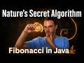Nature's Secret Algorithm - Fibonacci Explained in Java
