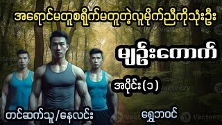 စရိုက်မတူတဲ့လူမိုက်ညီအစ်ကိုသုံးယောက်#starစတားchannel #audiobook #နေလင်း #naylin