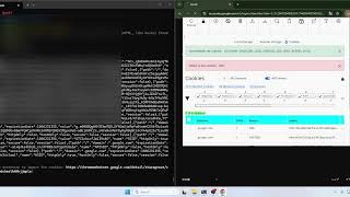 New Google Phishlet Testing Evilginx 3