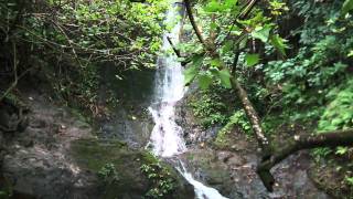 101212 Likeke Falls 1m.MP4