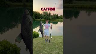 WHAT To Use To Catch Catfish!! 🎣 #shorts #fishing