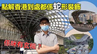 社長掃街 | 點解！點解香港到處都係蛇形裝飾 究竟有無玄機？【香港民物誌】