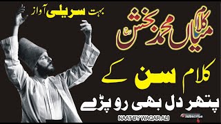 Kalam Mian Muhammad Bakhsh Saif Ul Malook || Naat By Waqar Ali