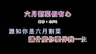 (演唱版)黃乙玲-六月割菜假有心(DIY卡拉OK字幕)