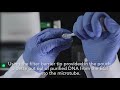 operation of truelab quattro real time quantitative micro pcr system