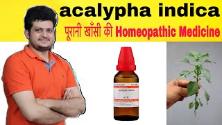 Acalypha Indica Homeopathic Medicine | पुरानी खांसी की होम्योपैथिक दवा | Symptoms And how to use |