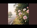 Broken Wings Of Love