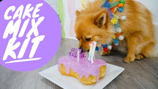 Puppy Cake Dog Birthday Cake Mix Kit Review