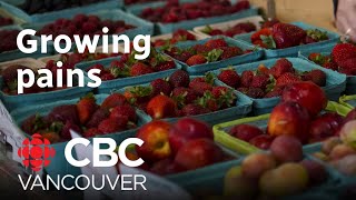 Struggling to find B.C. produce? This farmer explains why