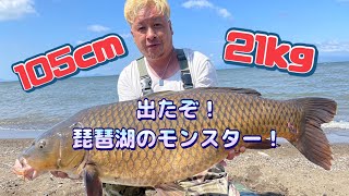 石くんの鯉釣り101琵琶湖のモンスター！特別編！