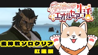 【FF14】1から始めるエオルゼア生活🐾極蛮神をソロ攻略＆マウント集め　紅蓮編