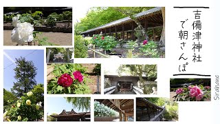 早起きして気持ちの良い朝を過ごす/吉備津神社/牡丹/おやつ