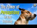 The Power Of Perception: Reframing Dog Training Setbacks Into Successes #287 #podcast