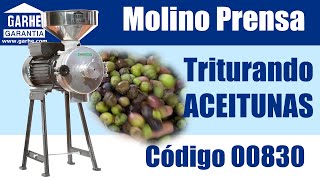 Molino elétrico de Garhe triturando aceitunas con hueso