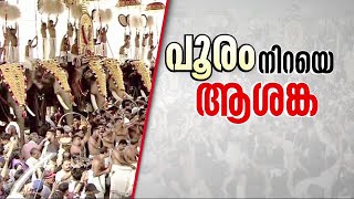 ആന എഴുന്നള്ളിപ്പിൽ നിയന്ത്രണങ്ങൾ; പൂരം ചടങ്ങ് മാത്രമാകുമോ ? | Pooram | Elephant