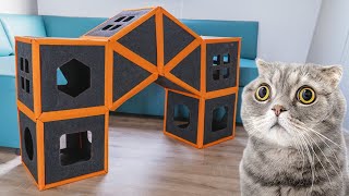 Purrini Playmate: Versatile Modular DIY Pet Toy Review