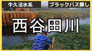 バス釣り！秋の牛久沼水系　西谷田川でスクーパーとチビタレル