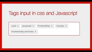Tags input in CSS and javascript (No Framework)