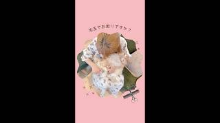 うさぎさんの毛玉除去サービス✂️