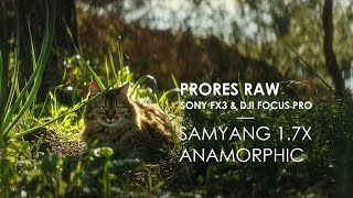 Samyang 1.7x Anamorphic Adapter | Sony FX3 \u0026 Dji Focus Pro | Prores Raw day footage