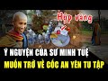 Anh Thìn HÉ LỘ Ý NGUYỆN của sư Minh Tuệ: Muốn về cốc an yên TU TẬP, không bị làm phiền | Học Phật