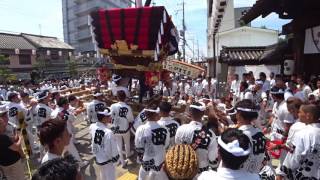 2017 撮って出し 貝塚宮夏祭り 本宮 感田神社宮入弐番:西町