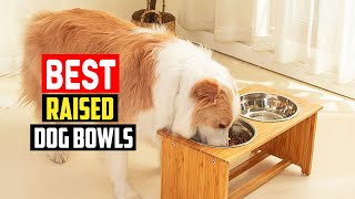 ✅ Top 5 Best Raised Dog Bowls in 2023