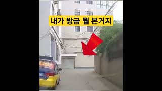 내가 방금 뭘 본거야 ㄷㄷㄷ #shorts