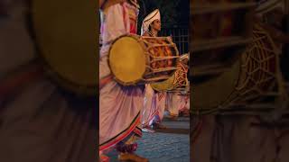 මහනුවර ඇසළ පෙරහරේ මිහිරි දවුල් බෙර නාදය - Kandyan Drummer