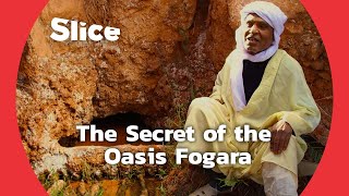 The Incredible Oasis Technique to Find Water | SLICE