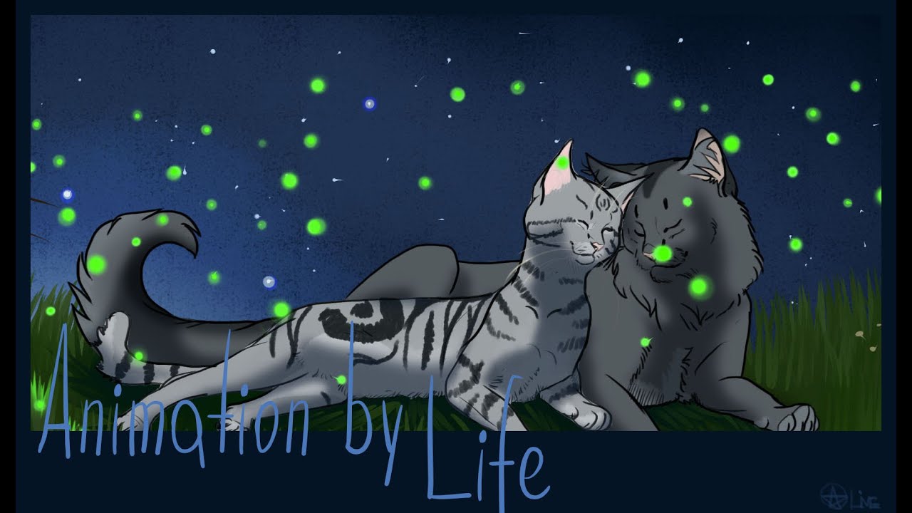 Animation Graystripe Silverstream Youtube