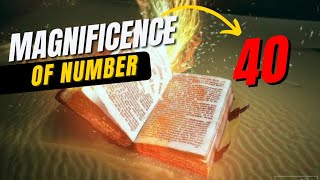 চল্লিশ কেনো এতো গুরুত্বপূর্ণ? Number 40 One Of Important Secret Codes