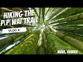 Pipiwai Trail Hike to Waimoku Falls & the Waianapanapa Coastal Trail