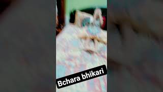 #Bichara bhikari#funny video#viral short