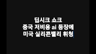 딥시크 쇼크 중국 저비용 ai 등장에 미국 실리콘밸리 휘청