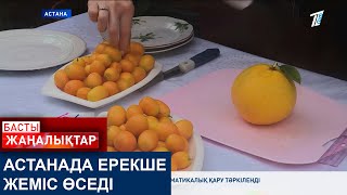 АСТАНАДА ЕРЕКШЕ ЖЕМІС ӨСЕДІ