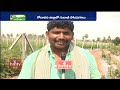 గోదావరి జిల్లాలో గులాబీ సోయగాలు rose garden culture hmtv agri