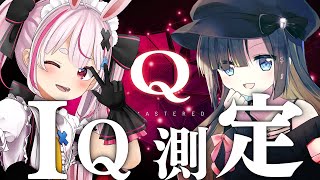 【Q Remastered】公式様から案件頂いちゃった～！！どっちの方が賢いか勝負だ！【兎鞠まり/新兎わい】