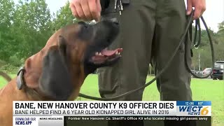Former New Hanover Co. Sheriff’s Office K9 who located missing girl passes away