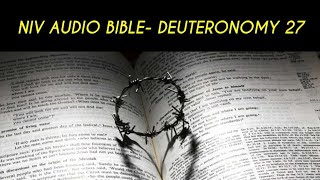 DEUTERONOMY 27 NIV AUDIO BIBLE (with text)