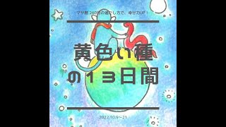 黄色い種の13日間 2022.10.9～21